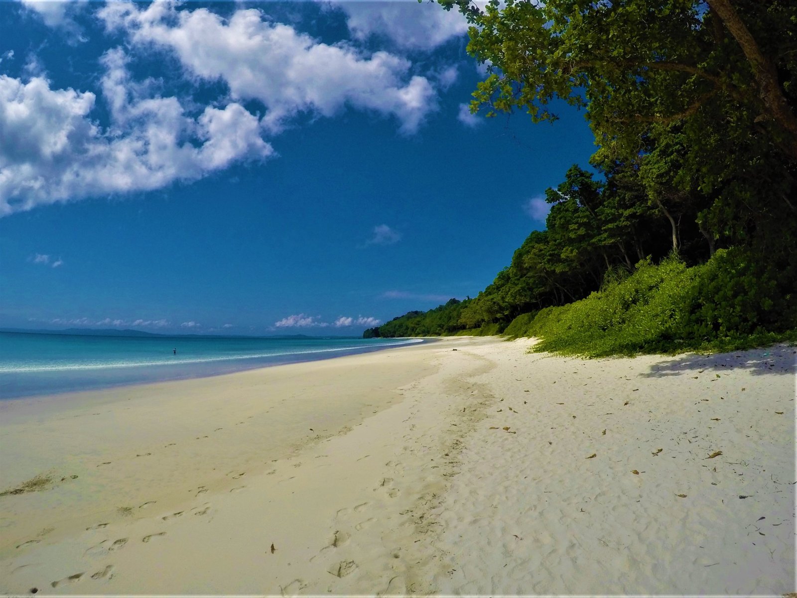 Havelock Island (Swaraj Dweep) - RSR Tours and Travel