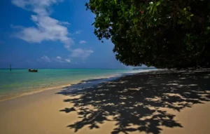 a white sand beach named laxmanpur beach with a canoe and a tree