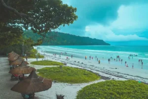 white sand beach with huts