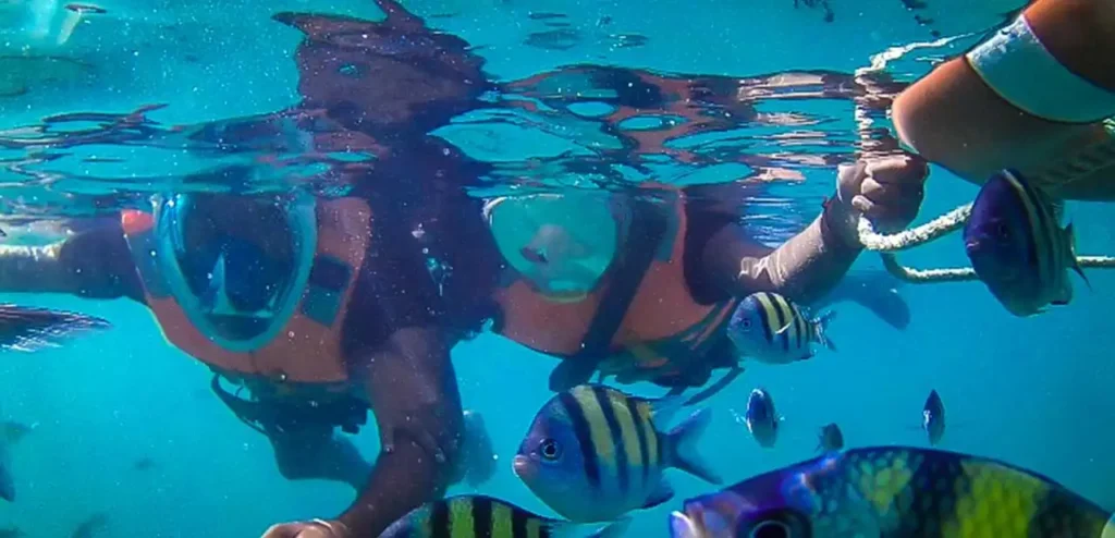 a couple snorkeling with fish
