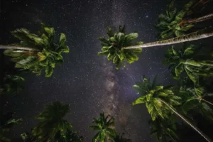 milky way galaxy from earth