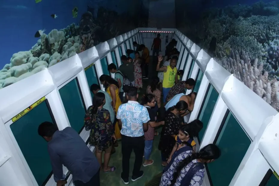 people viewing corals through a semi submarine