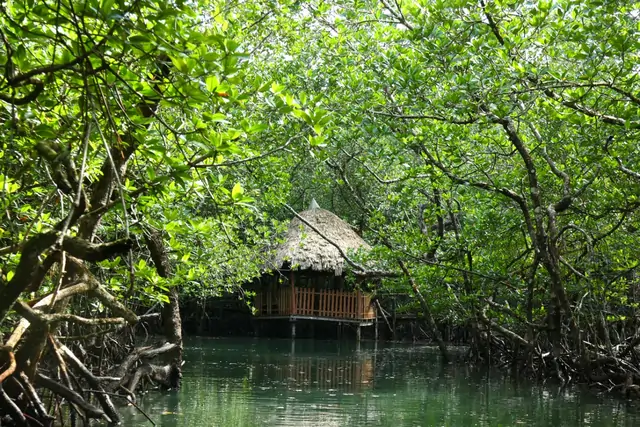 Hut in a mangrove creek