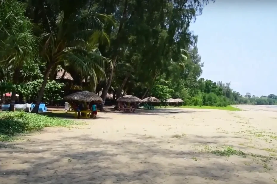 a beach lined with coconut trees and huts named Karmatang