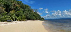 Beach with red corals at Red Skin Island