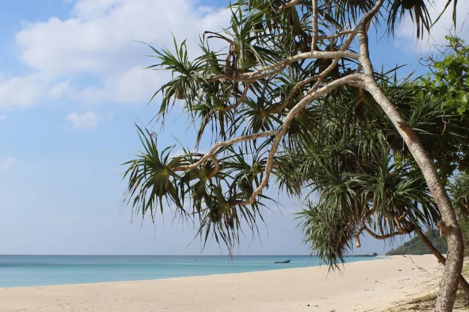 A beach on Rutland Island in Andaman